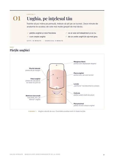 Lecția 1: anatomia unghiei, cu schemă
