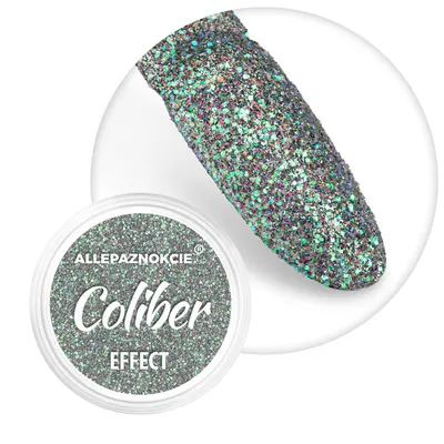 Sclipici fin cu efect holographic - Coliber Effect 09 - CE-09
